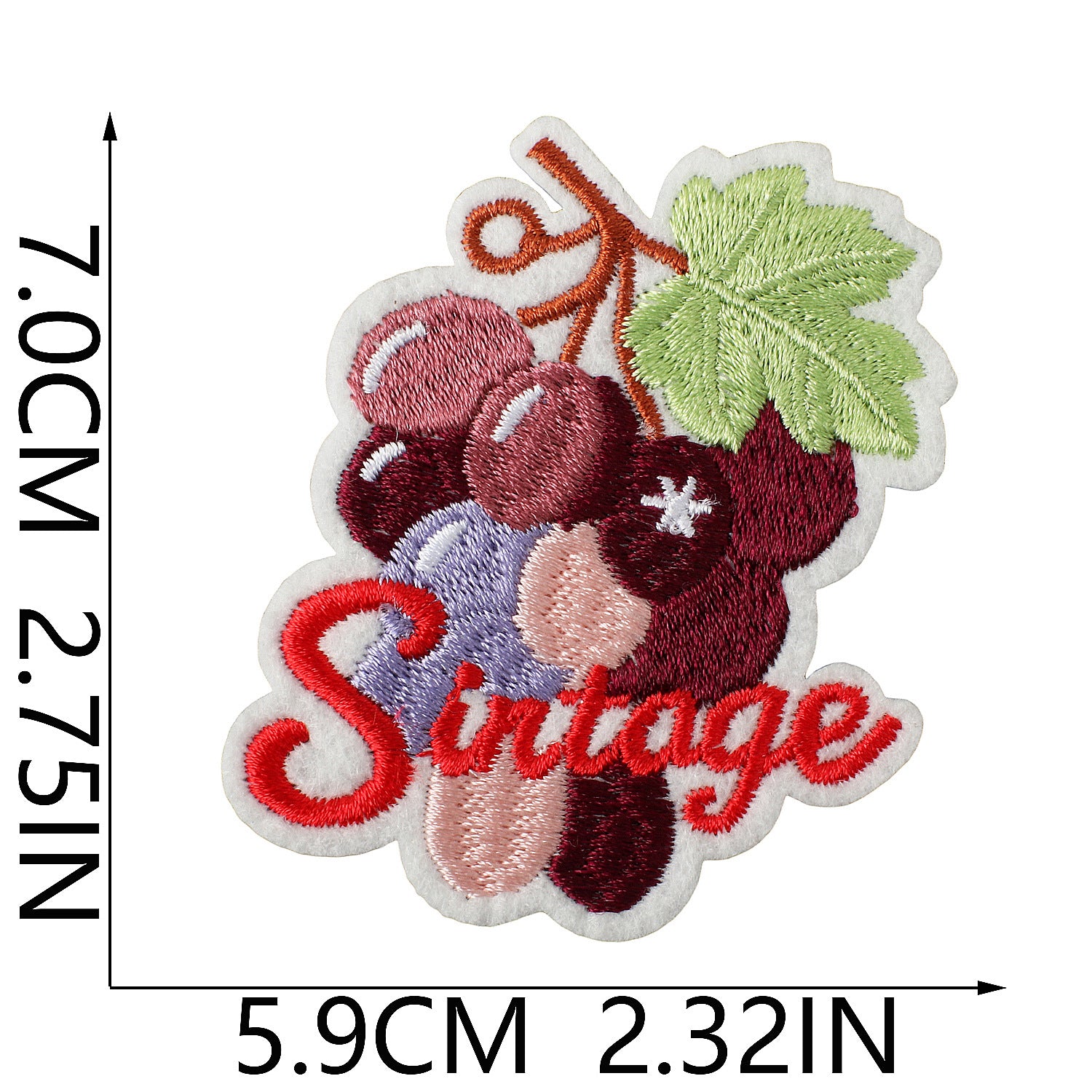 Tropical Fruit Embroidered Patch